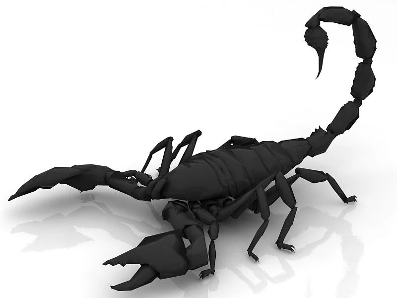 Scorpion - Agressive 3D Model .c4d .max .obj .3ds .fbx .stl .blend 