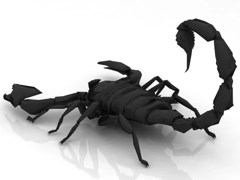 Scorpion - Agressive 3D Model