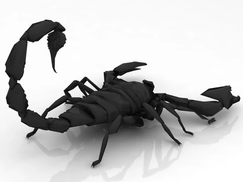 Scorpion - Agressive 3D Model