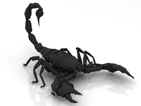 Scorpion - Agressive 3D Model