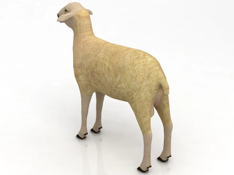 Sheep 3D Model