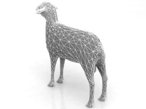 Sheep 3D Model