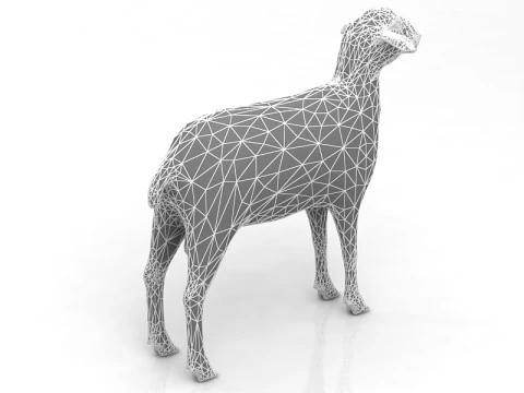 Sheep 3D Model