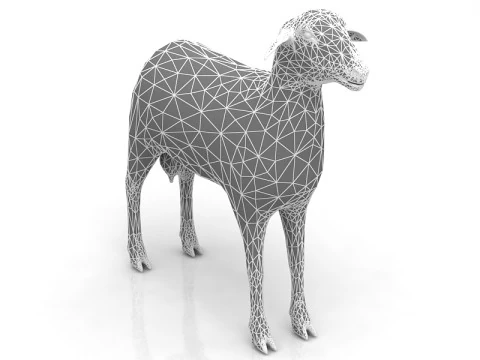 Sheep 3D Model