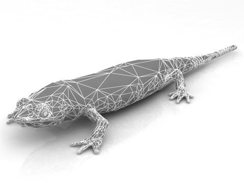 Salamander 3D Model