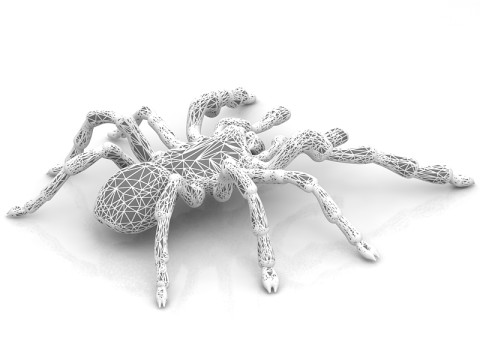 リコサ タランチュラ 3Dモデル