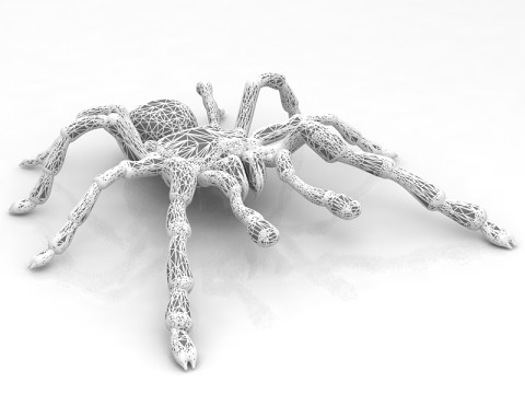 リコサ タランチュラ 3Dモデル