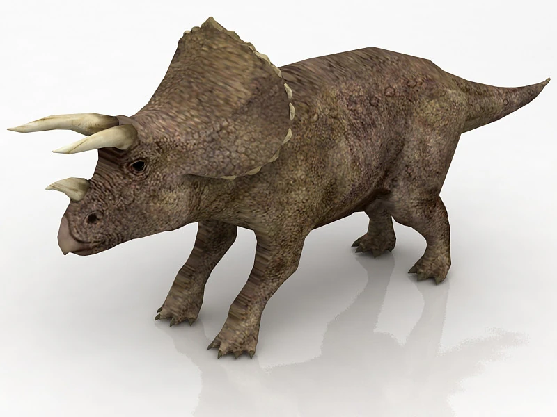 Triceratops 3D Model .c4d .max .obj .3ds .fbx .stl .blend 