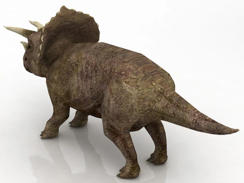 Triceratops 3D Model