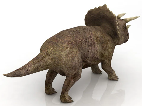 Triceratops 3D Model