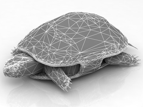 हरमन कछुआ कछुआ 3D मॉडल