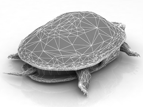 हरमन कछुआ कछुआ 3D मॉडल