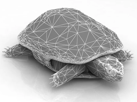Tartaruga Hermann Tartaruga Modelo 3D