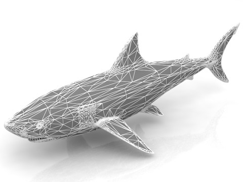 Great Shark White 3D Model