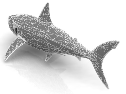 Great Shark White 3D Model