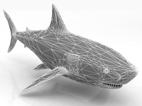 Great Shark White 3D Model
