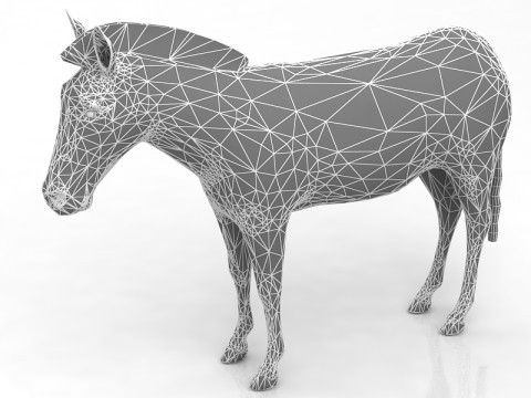 Zebra 3D Model