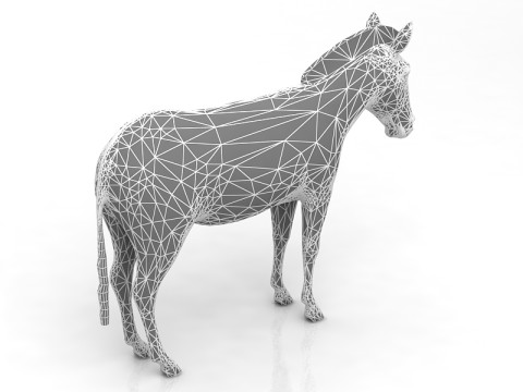 Zebra 3D Model