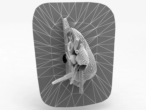 Human Ear Anatomy 3D Model