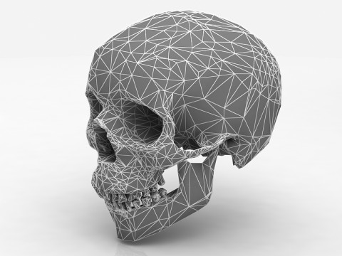 Real Human Skull 3D Model