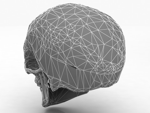 Real Human Skull 3D Model