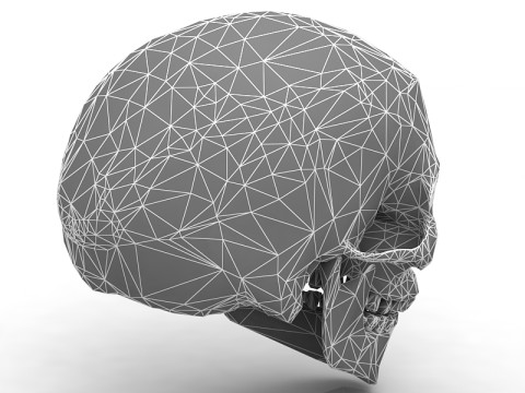Real Human Skull 3D Model