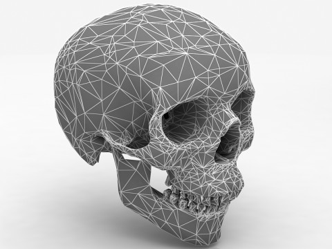 Real Human Skull 3D Model