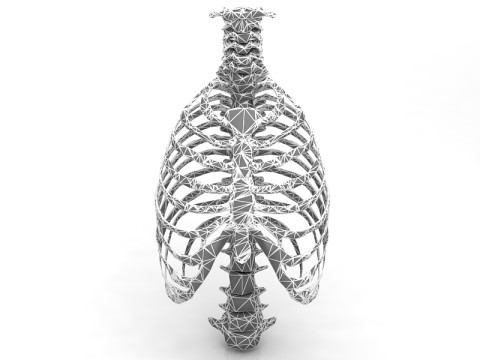 Klatka Thoristyczna Model 3D