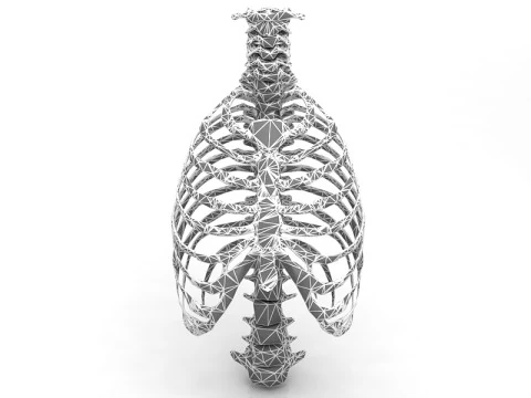 Thoristic Cage 3D Model