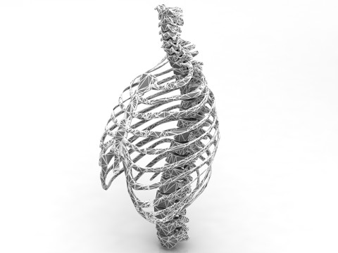 Klatka Thoristyczna Model 3D