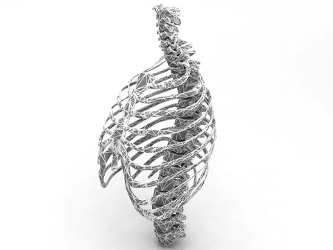 Thoristic Cage 3D Model