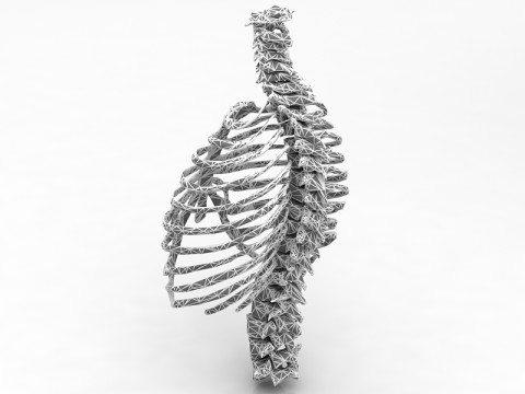 Klatka Thoristyczna Model 3D