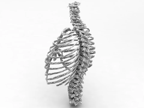 Thoristic Cage 3D Model