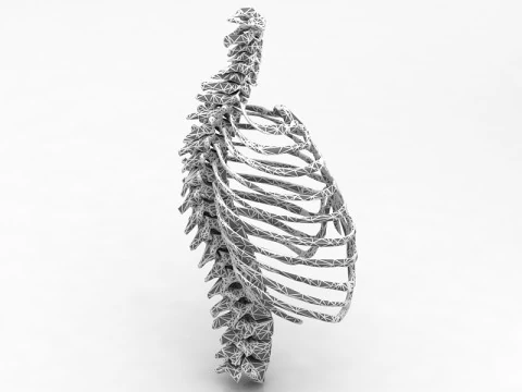 Thoristic Cage 3D Model
