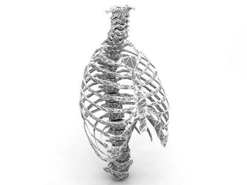Thoristic Cage 3D Model