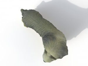 statuette dog Model 3D