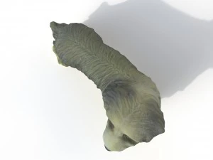statuette dog 3D Model