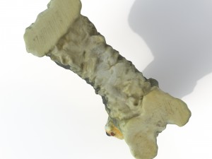 statuette dog Model 3D