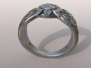 ring butterfly 3D Print Model