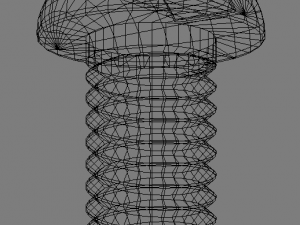 screw Model 3D