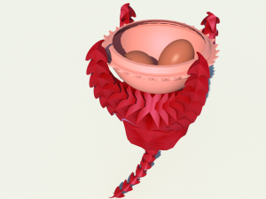 dragon egg holder v1 Model 3D