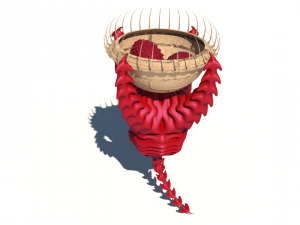 dragon egg holder v2 3D Model