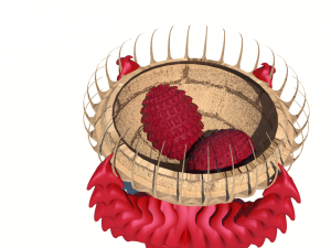 dragon egg holder v2 3D Model