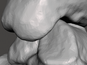 left foot - male 3D Модель