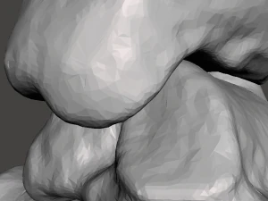 left foot - male 3D Model