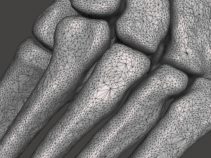 left foot - male 3D Модель