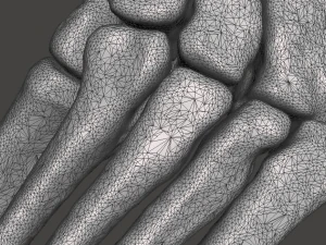 left foot - male 3D Model