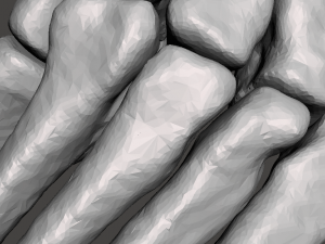 left foot - male 3D Модель