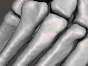 left foot - male 3D Модель