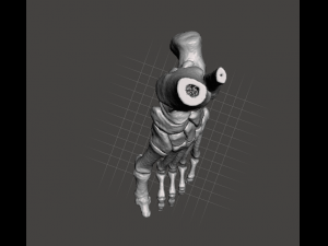 left foot - male 3D Модель
